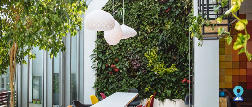 How to go green at Shared office spaces in Mumbai?