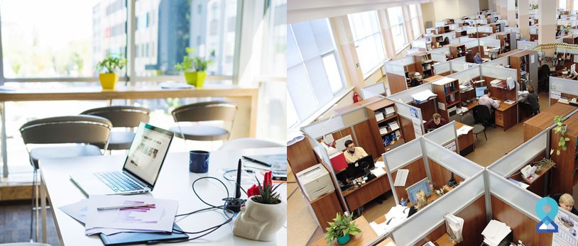 Open Office Spaces vs. Cubicles