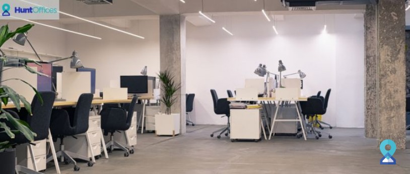Why Freelancers Thrive in Coworking Spaces