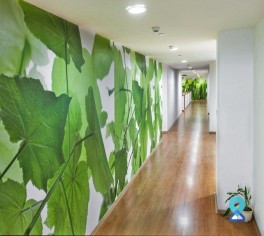 Office Space Koramangala, Bengaluru