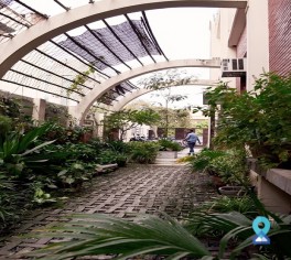 Coworking Office Sec 65 Noida